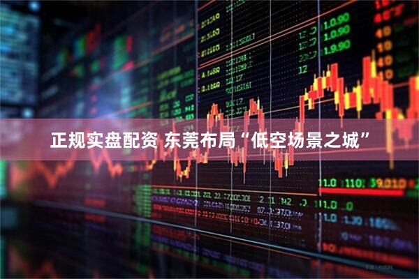 正规实盘配资 东莞布局“低空场景之城”